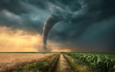 Tornado Preparedness: Before, During and After