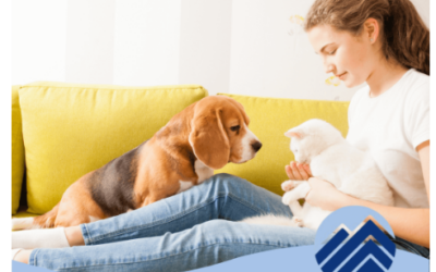 Pet Insurance for Your Furry Family Members