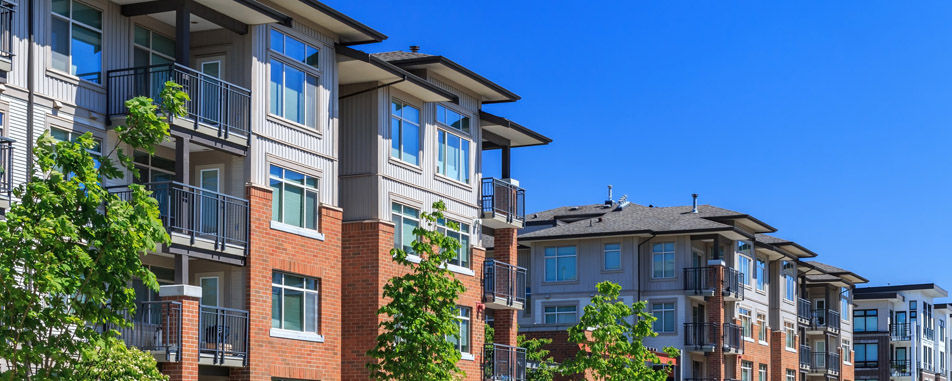condo_renters_purple condo_renters_purple