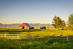 Farm insurance - purplecowinsurance.com