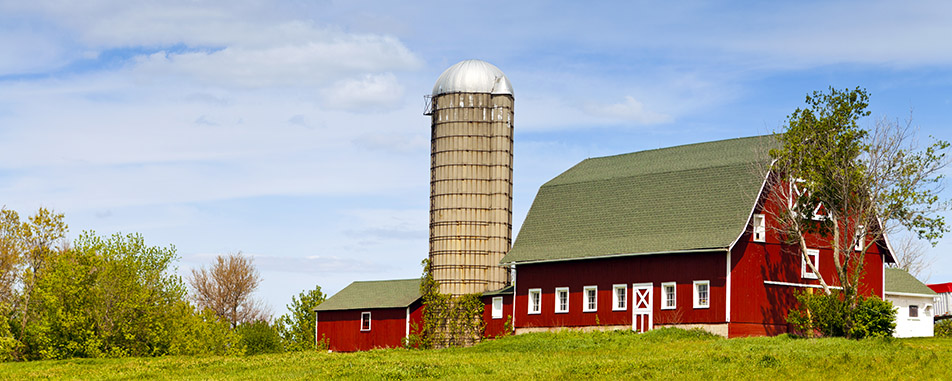 Red barn with gray silo against a blue sky, surrounded by lush greenery - purplecowinsurance.com