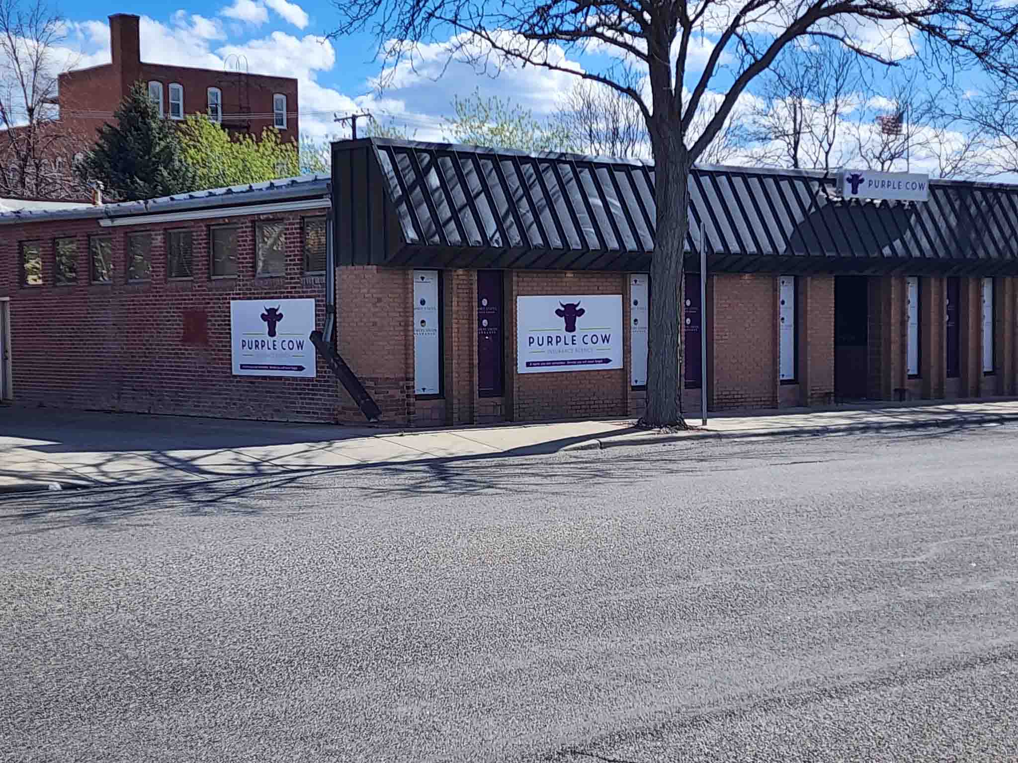 A brick storefront for a business called "Purple Cow" with prominent signage featuring a purple cow logo